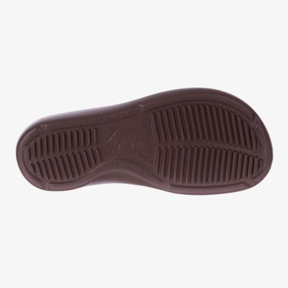 PETER LEGWOOD Dolphin Cioccolato