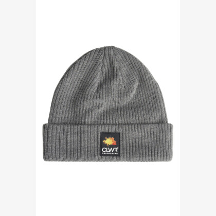COLOURWEAR Ipa Beanie šedý