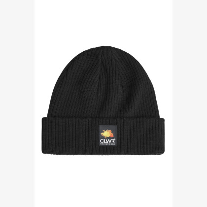 COLOURWEAR Ipa Beanie černý